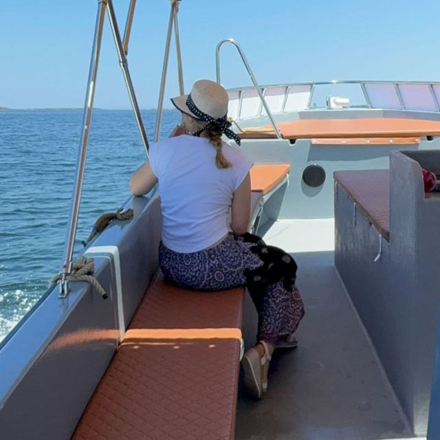 tour-panoramico-della-laguna-e-visita-alla-strada-sommersa-fenicio-punica